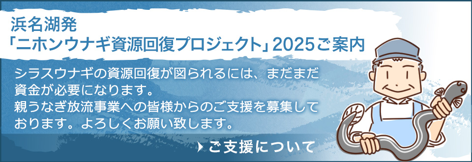 【浜名湖発「ニホンウナギ資源回復プロジェクト」ご案内】シラスウナギの資源回復が図られるには、まだまだ資金が必要になります。親うなぎ放流事業への皆様からのご支援を募集しております。よろしくお願いいたします。